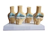 Anatomical model production
